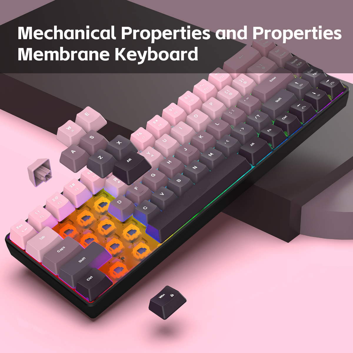 New Compact 68-Key Gradient-Co - Gaming Keyboard Ergonomic recension och pris
