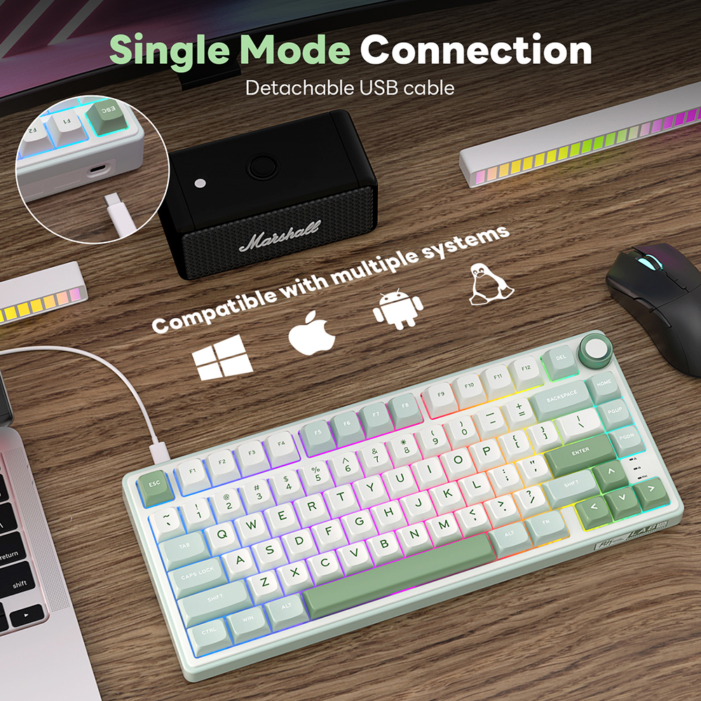 RK Royal Kludge R75 Gasket Wir - Gaming Keyboard Brand recension och pris