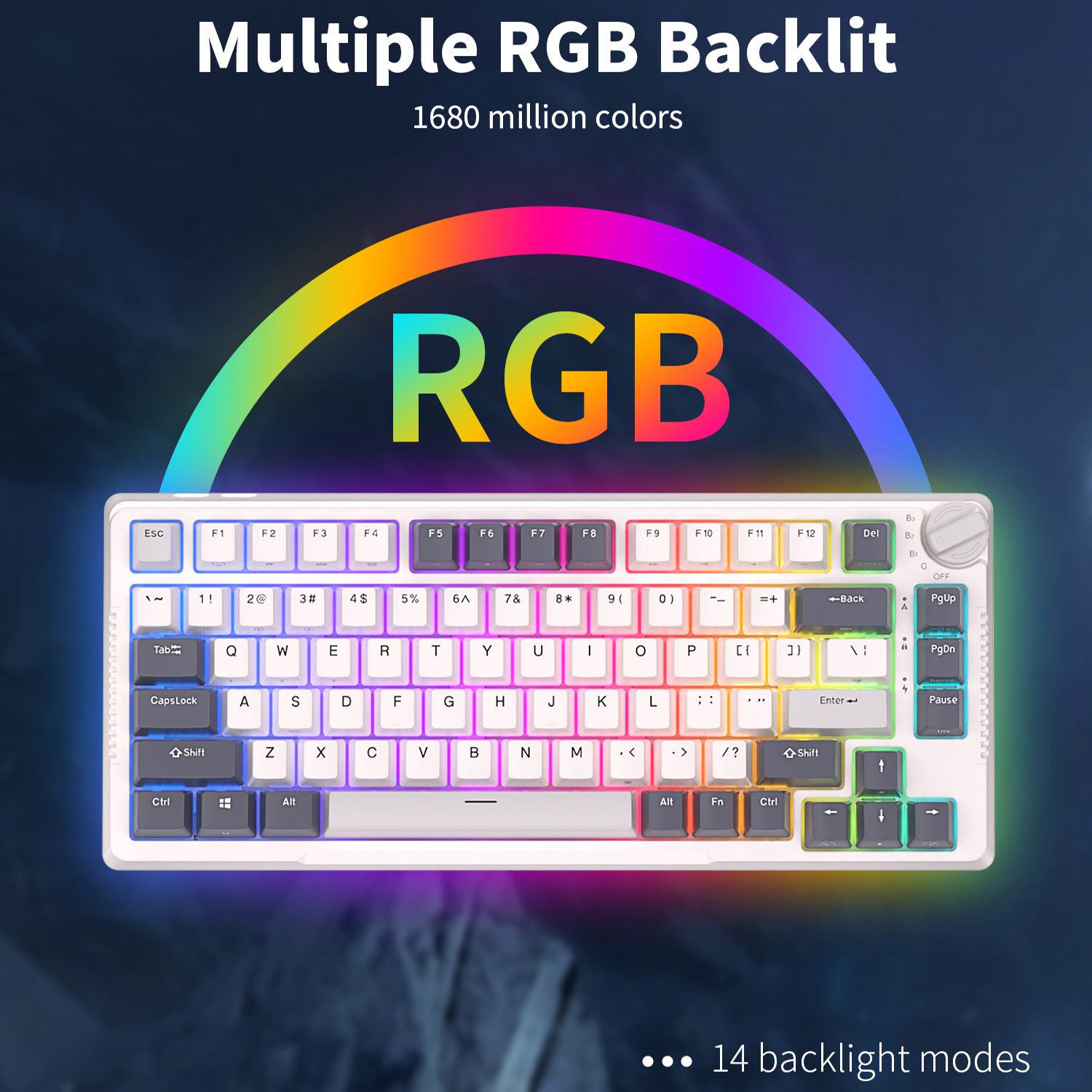 RK H81 Royal Kludge Gasket Str - Gaming Keyboard Brand recension och pris